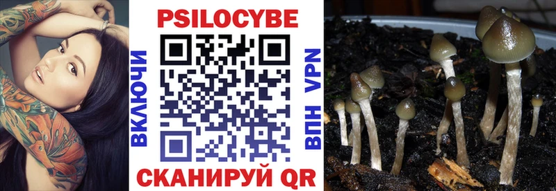 Псилоцибиновые грибы Psilocybe  Купить где  Иркутск 